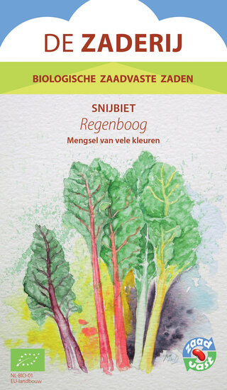 Snijbiet &ndash; Regenboog