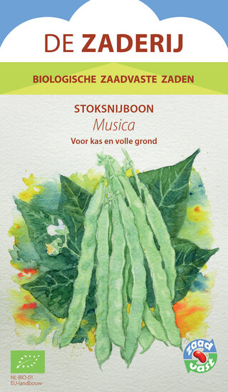 Snijboon &ndash; Musica