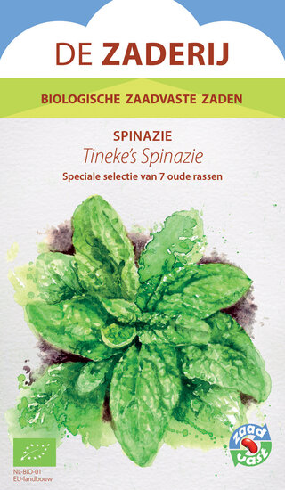 Spinazie &ndash; Tineke&rsquo;s spinazie