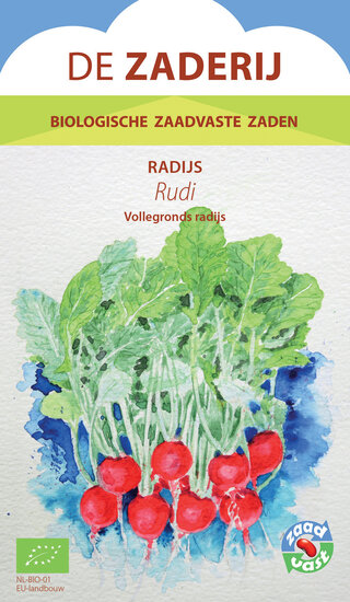 Radijs &ndash; Rudi