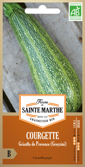 Courgette &#039;Grisette de Provence&#039; (Greyzini)