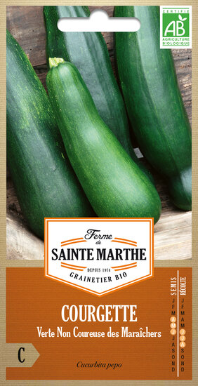 Courgette &#039;Verte Non Courseuse des Mara&icirc;chers&#039;