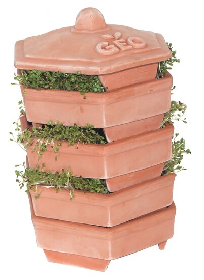 Geo Terracotta Sprouter