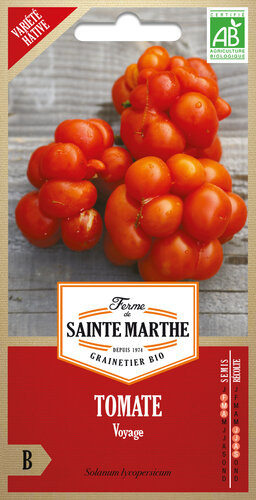 Tomaat 'Voyage'