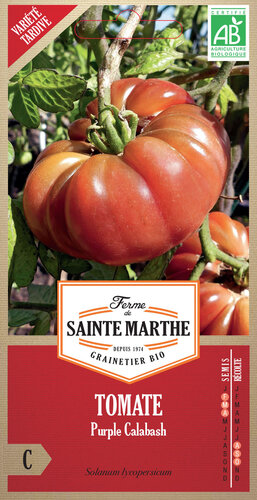 Tomaat 'Purple Calabash'