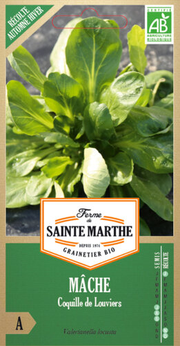 Veldsla 'Coquille de Louviers'