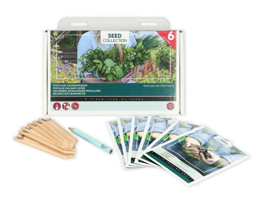 Buzzy® Collection 6 populaire keukenkruiden