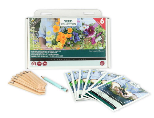 Buzzy® Collection 6 Kleurrijke bloemen voor de starter