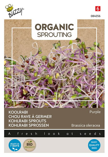 Buzzy® Organic Sprouting Koolrabi blauwpaars (BIO)