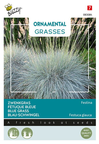 Buzzy® Ornamental Grasses, Zwenkgras 'Festina'