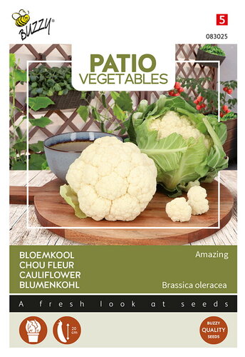 Buzzy® Patio Veggies, Bloemkool Amazing Buzzy® Patio Veggies, Bloemkool Amazing