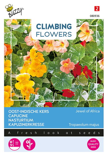 Buzzy® Climbing Flowers, Tropaeolum Jewel of Africa