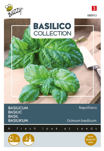 Buzzy® Basilicum Napolitano