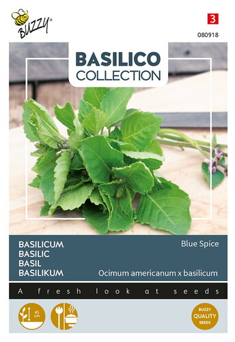 Buzzy® Basilicum Blue Spice