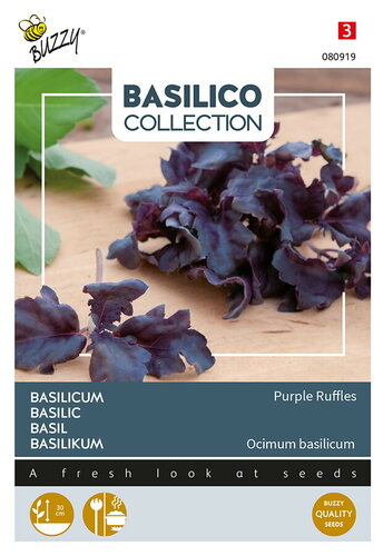 Buzzy® Basilicum Purple Ruffles