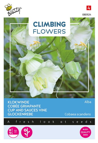 Buzzy® Climbing Flowers, Cobaea Alba Wit