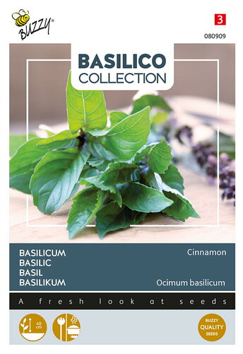 Buzzy® Kaneelbasilicum
