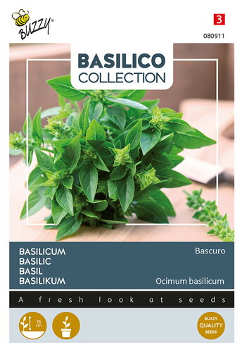 Buzzy® Basilicum Bascuro