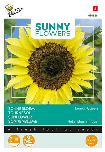 Buzzy® Sunny Flowers, Zonnebloem Lemon Queen