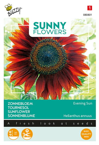 Buzzy® Sunny Flowers, Zonnebloem Avondzon