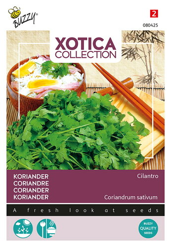 Buzzy® Xotica Koriander Cilantro
