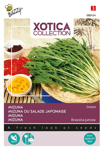 Buzzy® Xotica Mizuna, Japanse salade