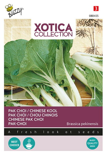 Buzzy® Xotica Pak choi Chinese kool