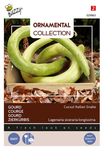 Buzzy® Ornamental Gourd Cucuzi Italian Snake