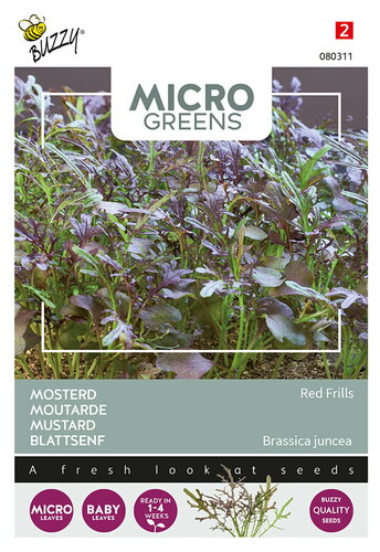 Buzzy® Microgreens, Mosterd Red Frills Buzzy® Microgreens, Mosterd Red Frills