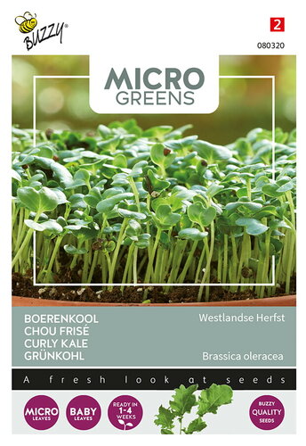 Buzzy® Microgreens, Boerenkool Westlandse Herfst Buzzy® Microgreens, Boerenkool Westlandse Herfst