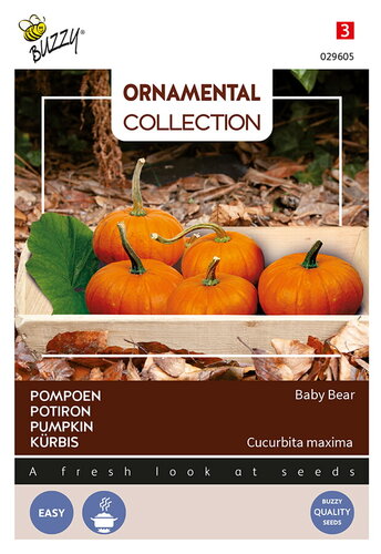 Buzzy® Ornamental Pompoen Baby Bear