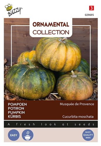 Buzzy® Ornamental Pompoen Musque De Provence