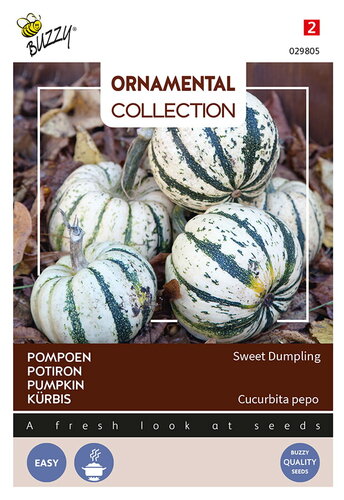 Buzzy® Ornamental Pompoen Sweet Dumpling
