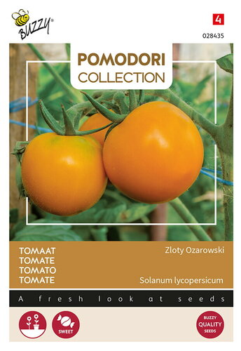 Buzzy® Pomodori, Tomaat Zloty Ozarowski