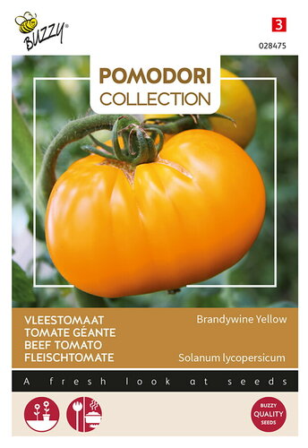 Buzzy® Pomodori, Vleestomaat Brandywine Yellow