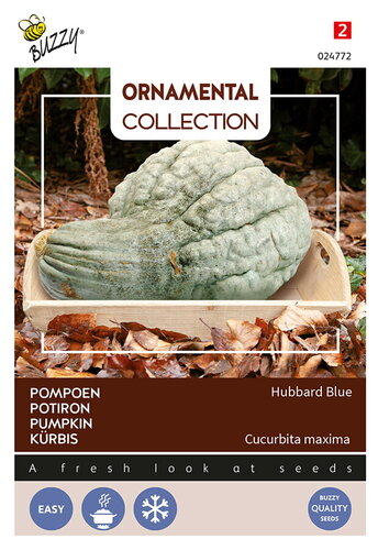 Buzzy® Ornamental, Pompoen Hubbard Blue