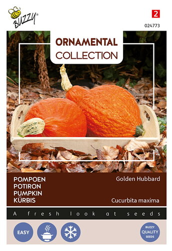 Buzzy® Ornamental, Pompoen Golden Hubbard
