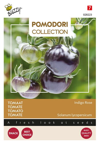 Buzzy® Pomodori, Tomaat Indigo rose (zwart)