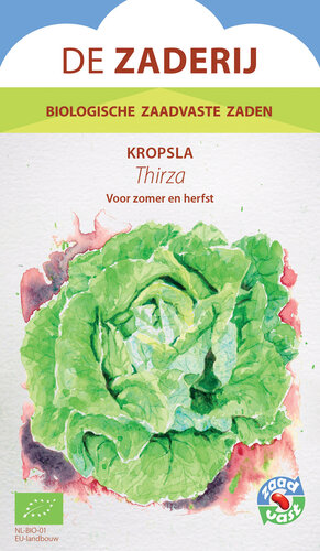 Kropsla - Thirza Kropsla - Thirza
