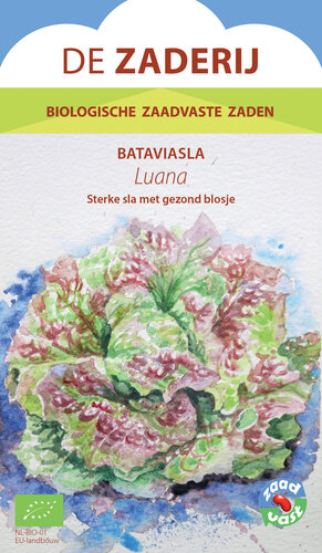 Bataviasla – Luana Bataviasla – Luana