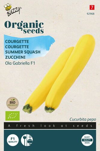 Buzzy® Organic Courgette Ola Gabriella F1 (BIO)