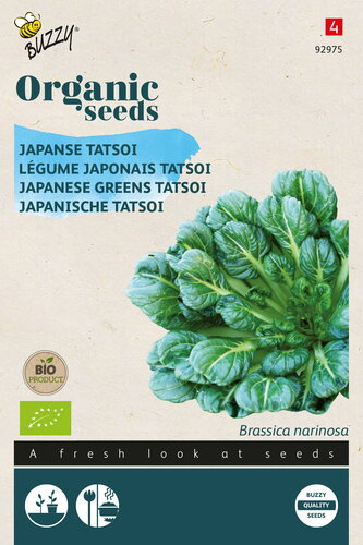 Buzzy® Organic Tatsoi (BIO) Buzzy® Organic Tatsoi (BIO)