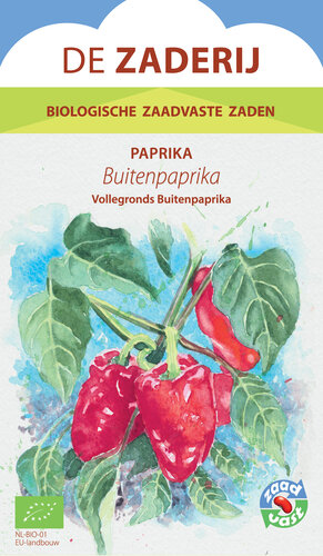 Paprika, Buitenpaprika Paprika, Buitenpaprika
