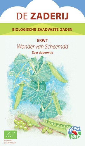 Erwt, Wonder van Scheemda Erwt, Wonder van Scheemda