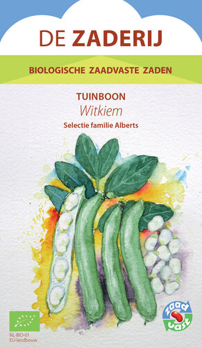Tuinboon - (Tineke's ) Witkiem Tuinboon - (Tineke's ) Witkiem