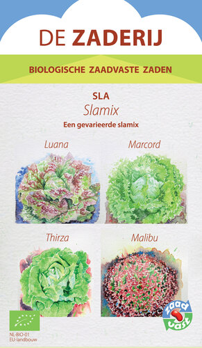 Slamix - Een mix van 4 soorten sla. Slamix - Een mix van 4 soorten sla.