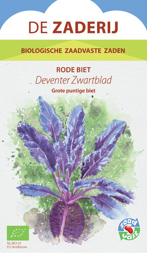Rode Biet, Deventer Zwartblad Rode Biet, Deventer Zwartblad