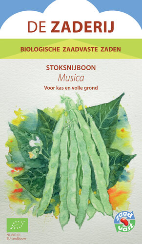 Snijboon – Musica Snijboon – Musica