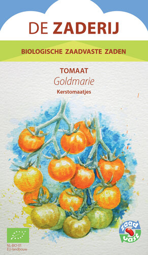 Tomaat - Goldmarie Tomaat - Goldmarie