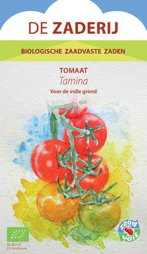 Tomaat  - Tamina Tomaat  - Tamina